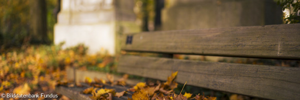 Parkbank mit Herbstlaub