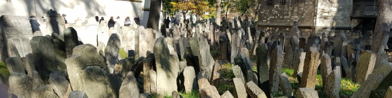 Sie sucht ihn vilsbiburg