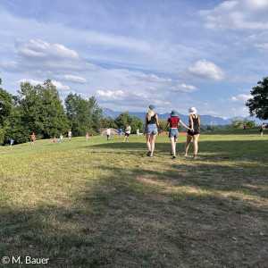 Inselwiese mit Bergpanorama