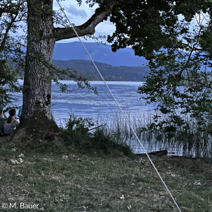 Blick auf den See durch Bäume