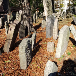 Jüdischer Friedhof 01