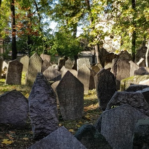Jüdischer Friedhof 02