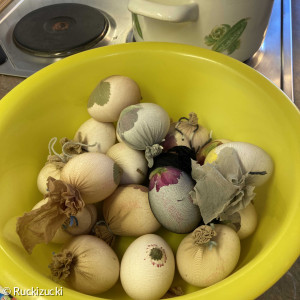 Vorbereitung für Blütenfärbung